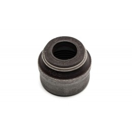 VALVE SEAL 6x9x10 CARNIWAL...