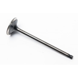 EXHAUST VALVE 31 8X5 5X110...