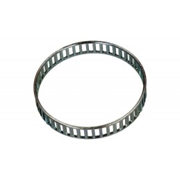 ABS DB RING ACHTER W163 ML...