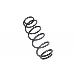 DB SPRING REAR W169 04-12...