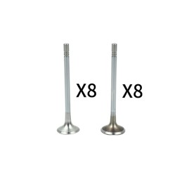 INTAKE+EXHAUST VALVES....