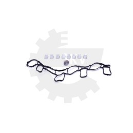 MANIFOLD REPAIR KIT VAG...