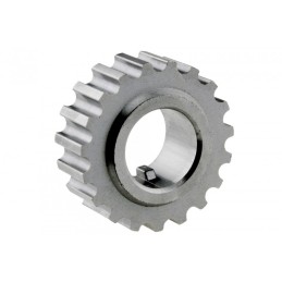 CRANKSHAFT GEAR MEGANE 96-,...