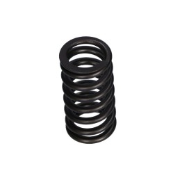 VALVE SPRING VW 1.6-4.2 TDI...