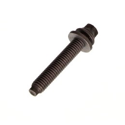 TIMING SCREW BMW 3 E46,...