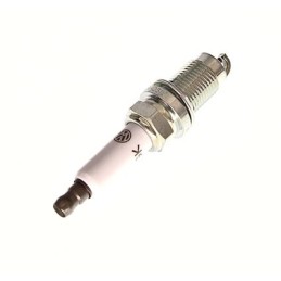 VW SPARK PLUG 101905617