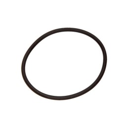 THERMOSTAT GASKET FIAT...