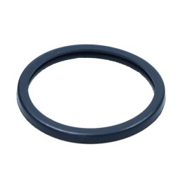 THERMOSTAT GASKET FIAT...