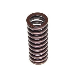 VALVE SPRING IVECO/FIAT...