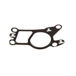 EGR VALVE GASKET ALFA 159/...