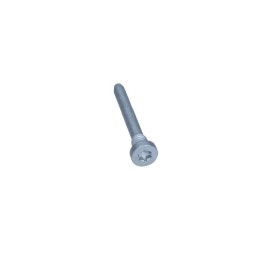 RENAULT CLIO DOOR HINGE PIN...