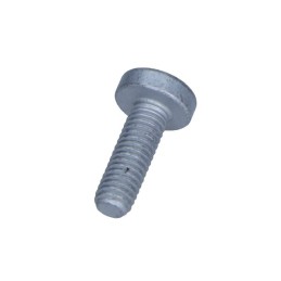 WATER PUMP SCREW VW 3.0 TDI...