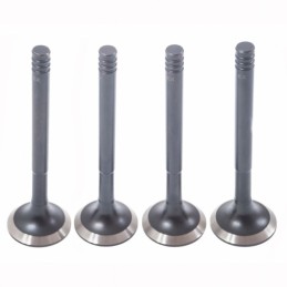 EXHAUST VALVES 2108 1500...