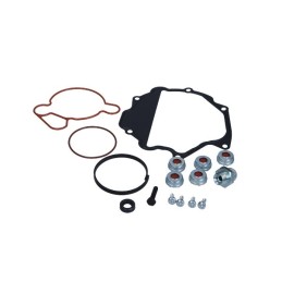 REPAIR KIT. VACUUM PUMP DB...