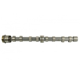 CAMSHAFT FIAT DUCATO 06...