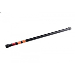 TORSION BAR RENAULT KANGOO...